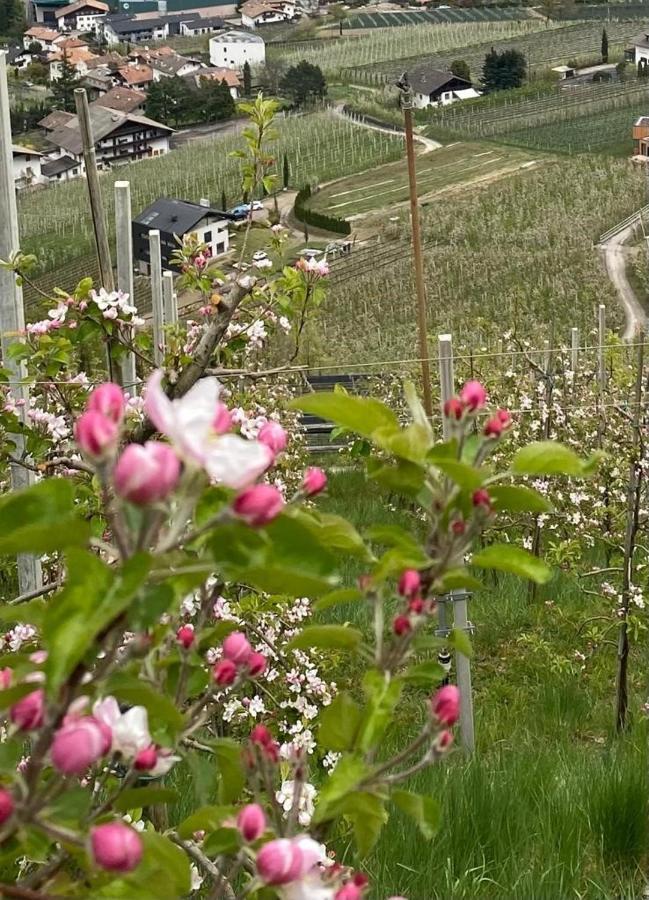 Weingut Bachguetl Apartment Cermes Exterior photo